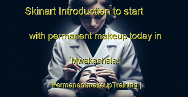 Skinart Introduction to start with permanent makeup today in Mwakashala | PermanentmakeupTraining | PermanentmakeupClasses | SkinartTraining-the Democratic Republic of the Congo